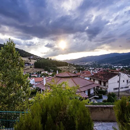 Strix Aluco * Καλάβρυτα