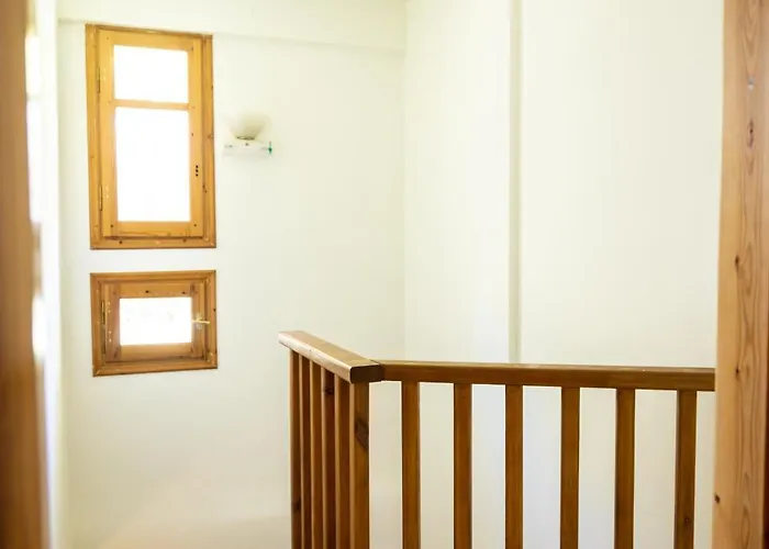 Strix Aluco * 칼라브리타